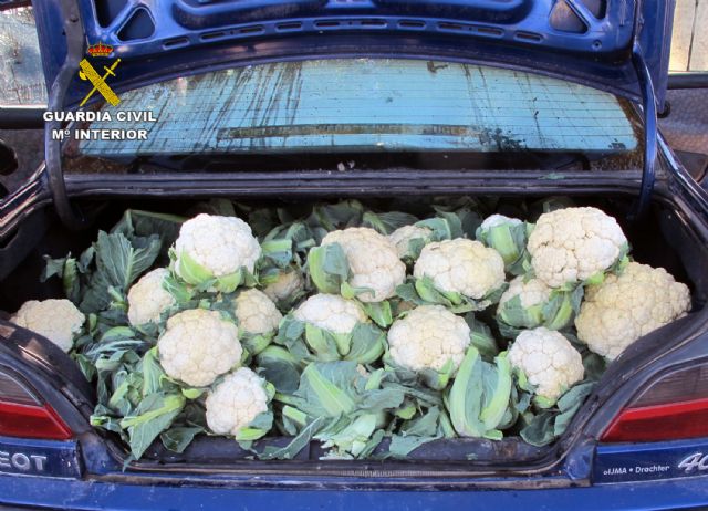 La Guardia Civil interviene más de cuatro toneladas de productos hortofrutícolas en un mercado de Murcia