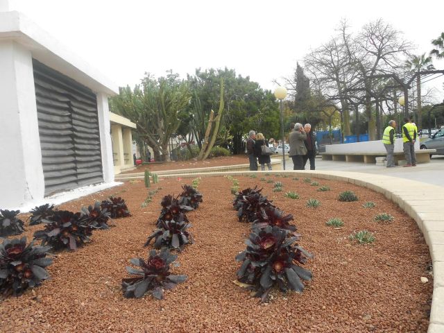 Medio Ambiente mejora el Jardín Seco junto al Mercado de Verónicas