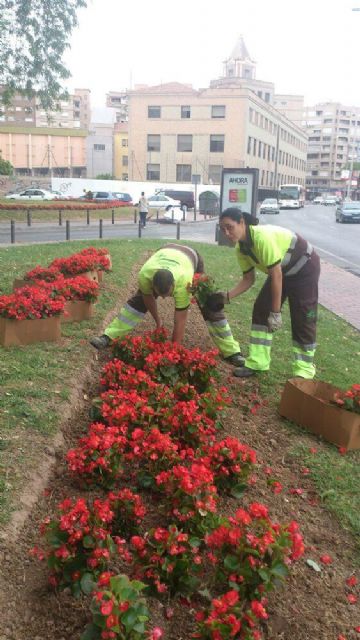 Medio Ambiente planta 800 begonias en parterres de la Avenida del Río