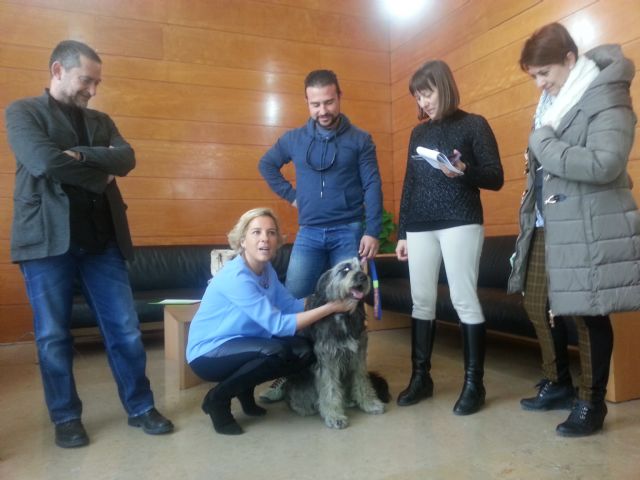 El viernes comienza la formación sobre la tenencia responsable de perros en el municipio de Murcia