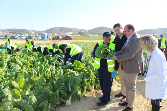 Finca de explotación agraria en El Raal