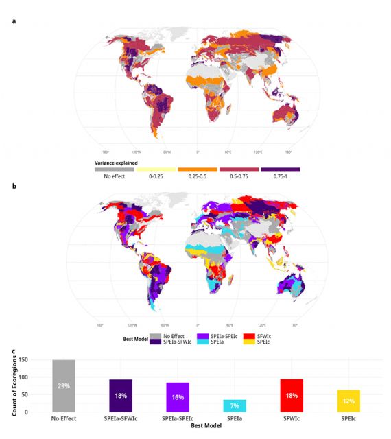 Una investigación de la UMU revela que el clima es el principal factor que explica la variabilidad de los incendios a nivel global