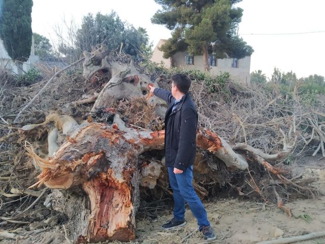 Huermur celebra la paralización de la destrucción de la acequia de Benetúcer tras las denuncias