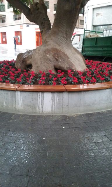 La plaza de San Bartolomé ya cuenta con una nueva zona de estancia que rodea el ombú