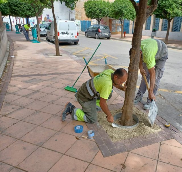 Murcia pone en marcha una campaña de renovación integral de los alcorques del municipio