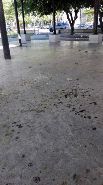 Cs reclama al Gobierno local medidas disuasorias para combatir la plaga de palomas en la pérgola de San Basilio