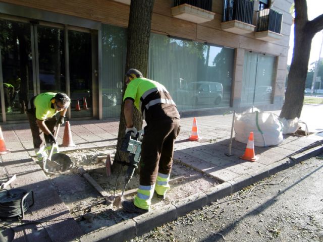 El Ayuntamiento reforma más de una treintena de alcorques de la Avenida de los Pinos