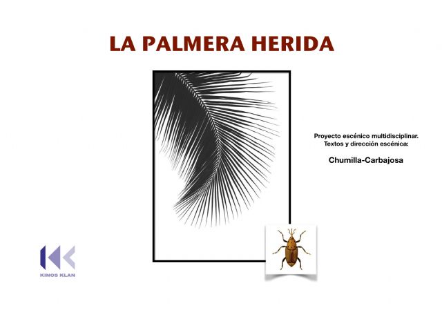 El cineasta Chumilla Carbajosa explica en el Teatro Romea el proceso creativo de su proyecto 'La palmera herida'