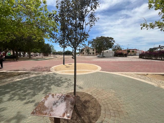 Sucina conmemora su 280 aniversario con la plantación de una encina de dos metros de altura en su plaza principal