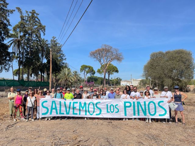 Vecinos y asociaciones se concentran para salvar los pinos de Churra