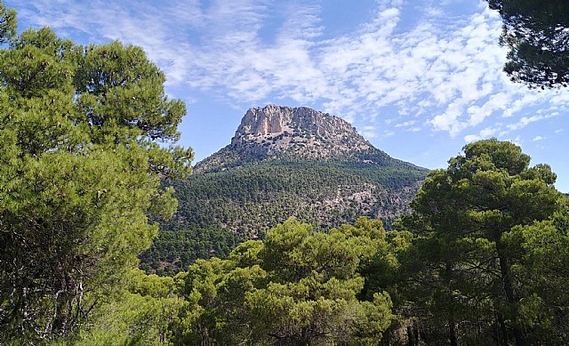 La plaza Díez de Revenga de Murcia rendirá homenaje a Ricardo Codorníu con la plantación de arbolado monumental