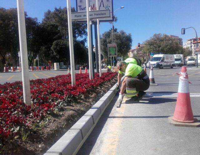 El Servicio de Parques y Jardines reforma las isletas situadas frente al Palacio Almudí