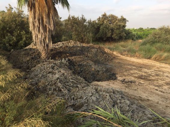 Ciudadanos exige al Gobierno local que informe sobre los vertidos realizados en el término municipal de Alquerías