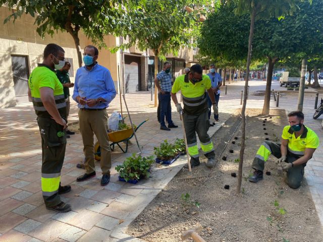 El Plan Hiedra viste de verde el barrio de Santa Eulalia creando más espacios naturalizados