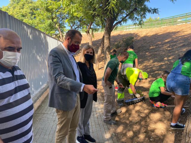 El Plan Hiedra crea perímetros verdes en los parques y jardines y fomenta la concienciación medio ambiental