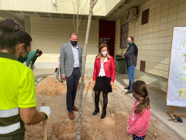 Avanza el Plan Foresta en los centros educativos respetando los protocolos Covid