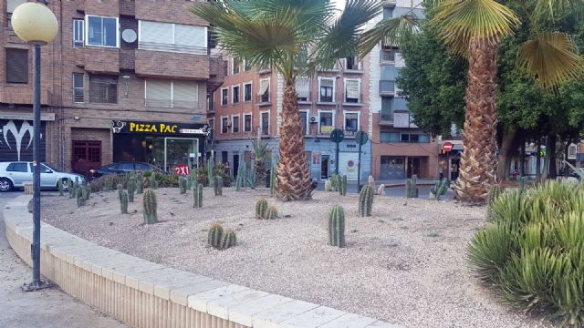 60 variedades de cactus para una xerojardinería pública más eficiente