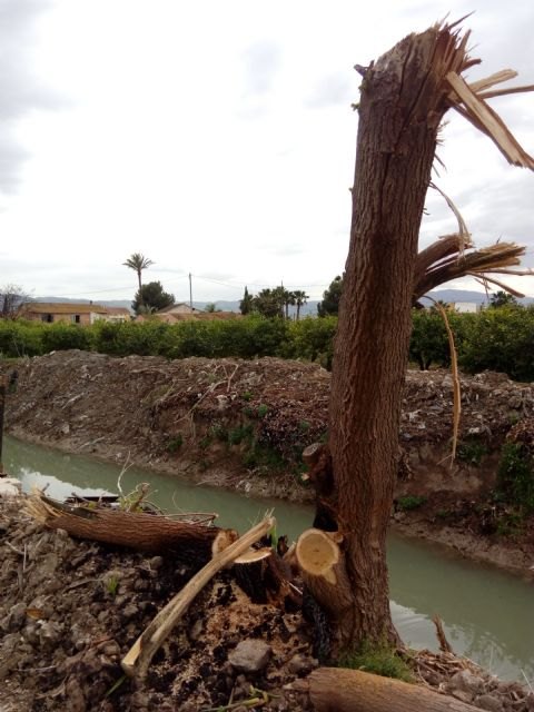 Cambiemos Murcia pide al Ayuntamiento la supervisión ambiental y cultural en la monda de las acequias