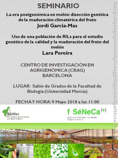 Un seminario de la Universidad de Murcia analiza la genética del melón