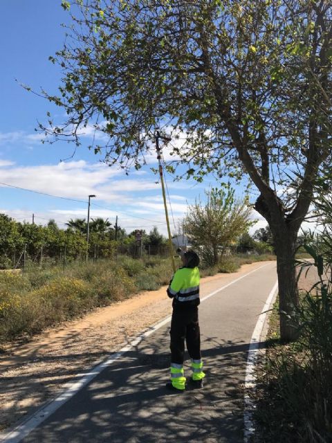 El Ayuntamiento supervisa periódicamente el estado del carril bici entre el Raal y la Contraparada