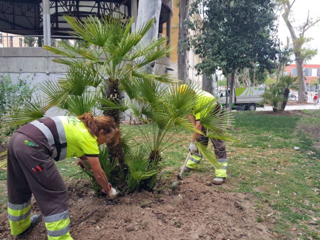 El Ayuntamiento mejora las zonas verdes del Cuartel de Artillería