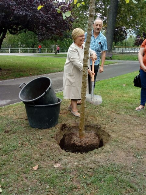 Una morera murciana, plantada por la catedrática de la UMU Consuelo Álvarez,  recuerda la emigración en la localidad asturiana de Langreo