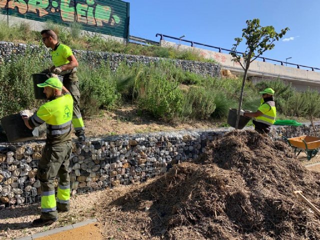 Obtienen más de 100.000 kilos de 'mulching' de las cañas extraídas del río tras la DANA