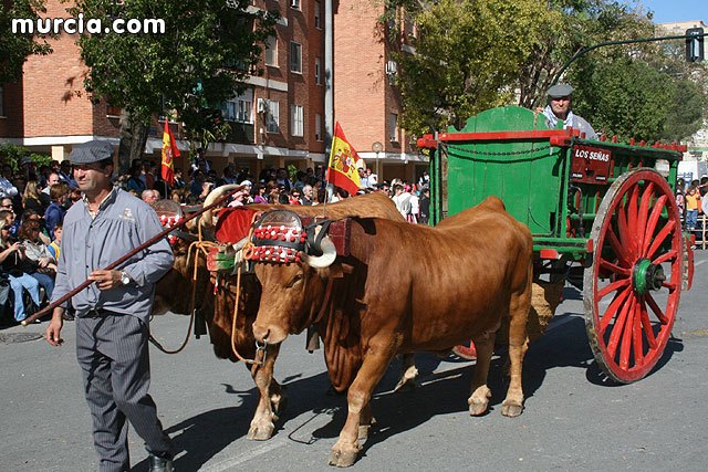 Más de 1.500 personas y 60 carrozas participan este martes en el Desfile del Bando de la Huerta