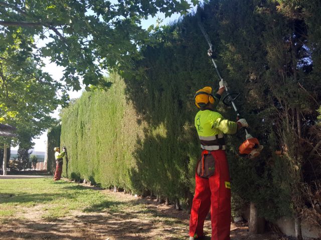 Las piscinas municipales abrirán con sus zonas verdes y arbolado en perfecto estado de revista