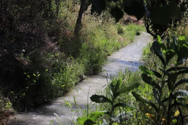 Huermur alerta de las intenciones de fumigar con glifosato las acequias y azarbes de la Huerta