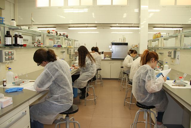 Más de doscientos jóvenes participan en las Olimpiadas Científicas de la UCAM