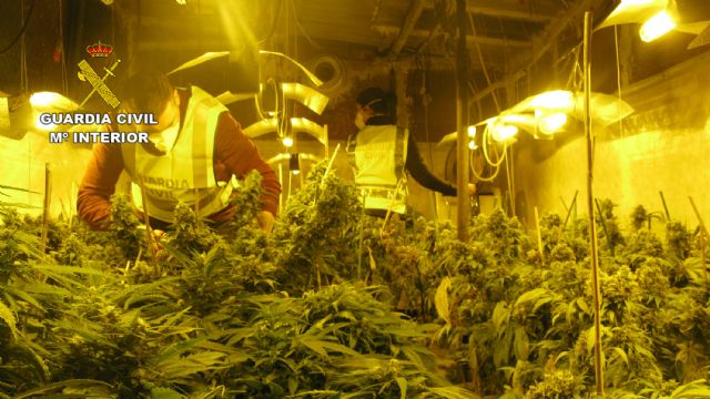 La Guardia Civil desmantela un invernadero dedicado al cultivo intensivo de marihuana