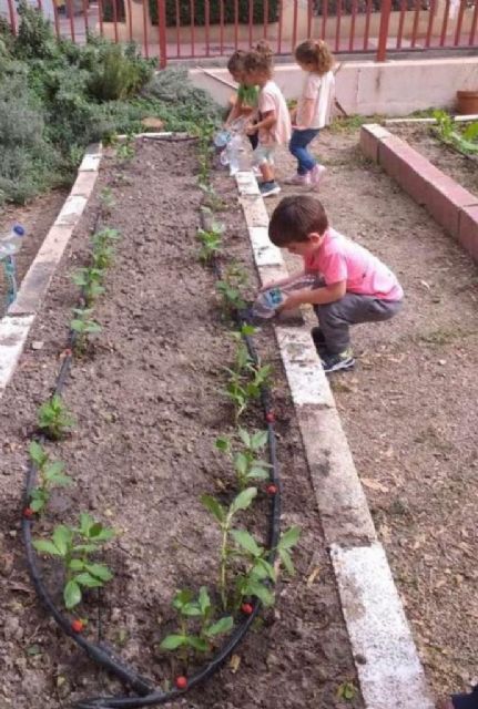 Un total de 57 colegios de la Red de Huertos Escolares recibirán ejemplares de lavanda, mirto y madroño