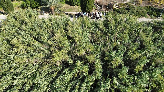 VOX presentará mociones para que la CHS limpie el cauce del río