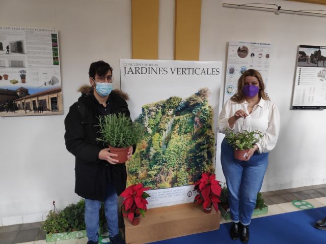 Alumnos de la UCAM diseñan jardines verticales con plantas medicinales