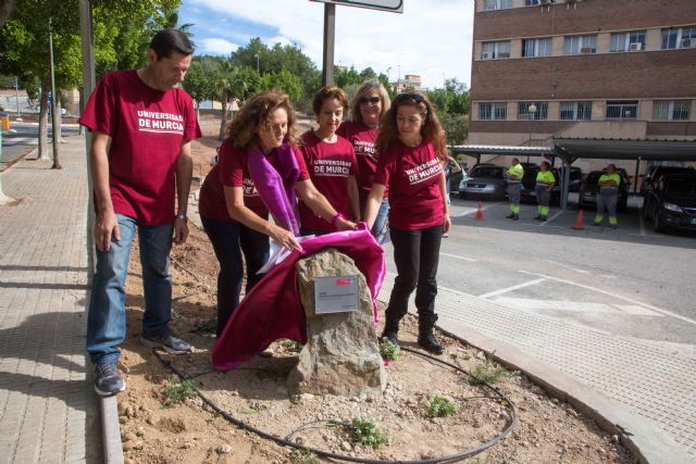 UMU inaugura mañana un Jardín contra la Violencia de Género