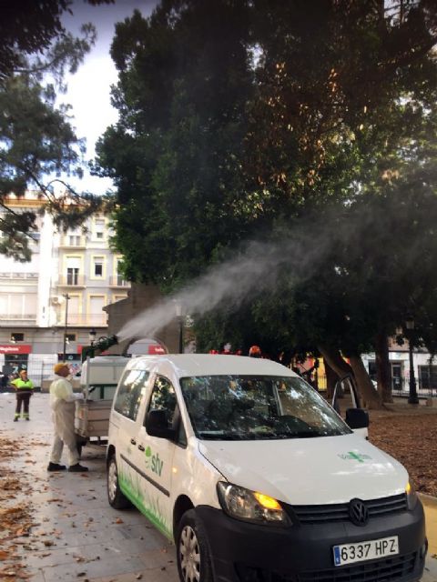 El Ayuntamiento refresca la decena de ficus del jardín de Floridablanca