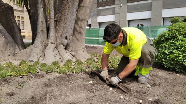 Se reduce el riego de más de 700.000 metros cuadrados de praderas de césped en Murcia