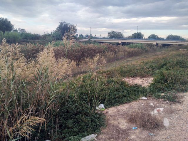 Ciudadanos denuncia la falta de mantenimiento del carril para peatones en la mota del río Segura a su paso por Llano de Brujas