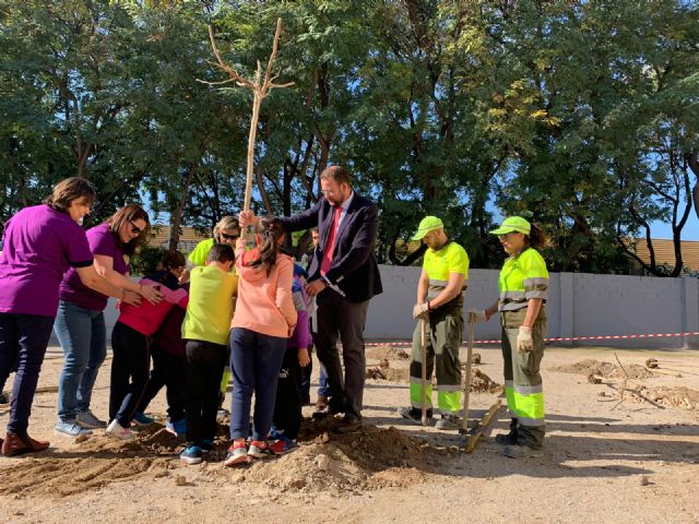 El CEIP San Andrés dispondrá de nuevas zonas de sombra natural gracias al Plan Foresta