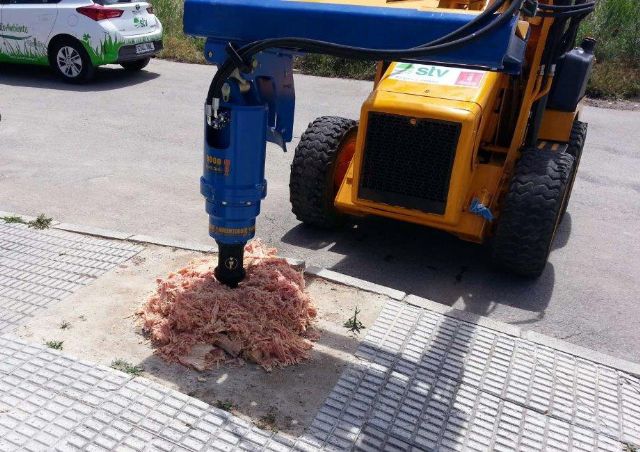 Parques y Jardines realiza el destoconado de viejos troncos para recuperar diversos árboles en el municipio