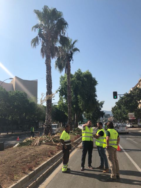 Topiaria en los accesos a la ciudad para recibir a los visitantes de la Feria de Murcia