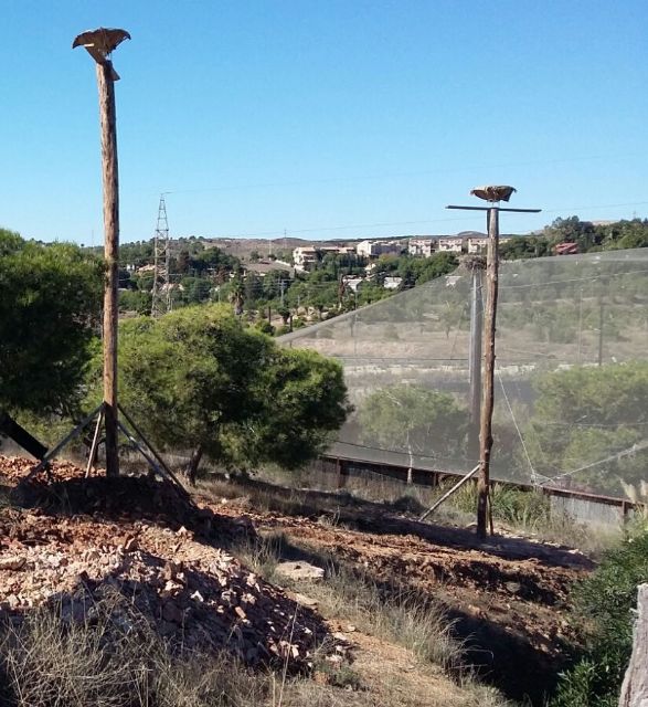 Terra Natura Murcia instala tres nidos que facilitarán el paso y la estancia de cigüeñas