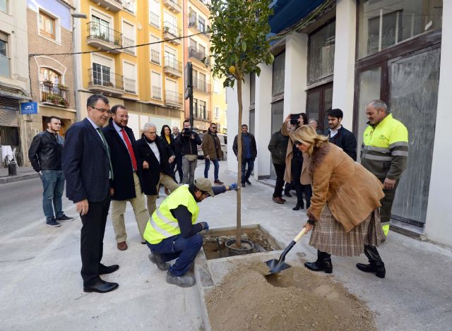 El Plan Foresta 2030 llega a los barrios de San Pedro, San Antolín y San Nicolás con las primeras plantaciones de limoneros