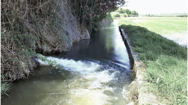 Ahora Murcia se adhiere a la petición de 'Segura Transparente' para que la CHS rechace los pozos en el sinclinal de Calasparra