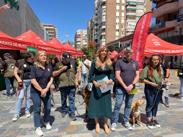 El Ayuntamiento lanza la campaña informativa sobre la gratuidad de la adopció de animales que se encuentran en Zoonosis