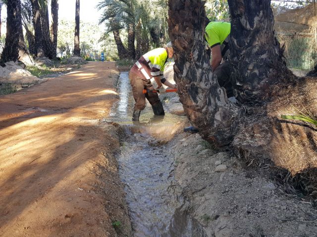 El agua vuelve a llenar las acequias del Palmeral de Santiago y Zaraiche.