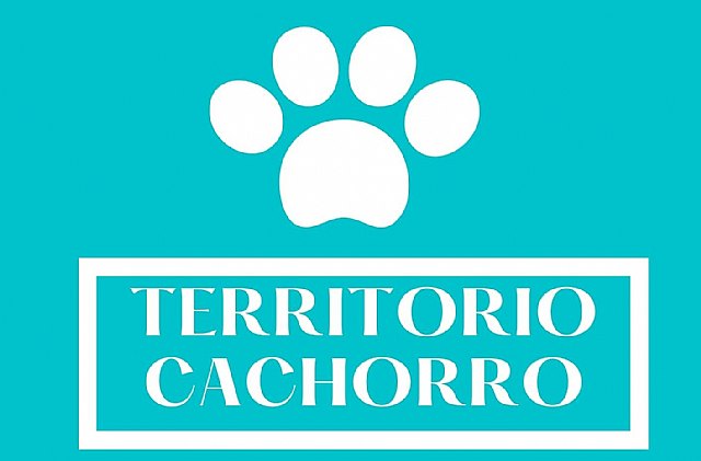 Nacho Vilar Producciones abre la convocatoria de TERRITORIO CACHORRO