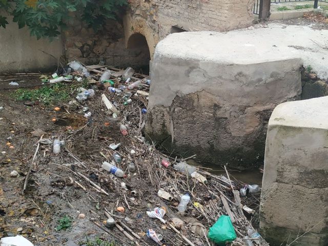 NOTA Denuncia en SEPRONA y CARM por peces muertos en acequia Alquibla