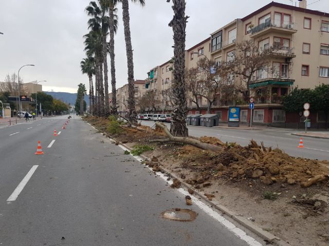 El Ayuntamiento continúa con la segunda fase de las obras de remodelación de la mediana de la Avenida Primero de Mayo